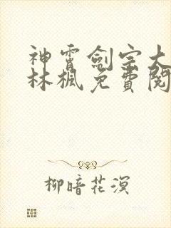 神霄剑宗大师兄林枫免费阅读