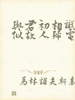 与君初相识·恰似故人归电视剧免费看