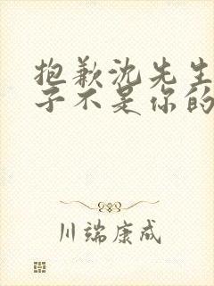 抱歉沈先生,孩子不是你的短剧全集