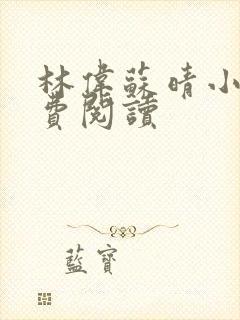 林伟苏晴小说免费阅读