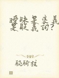 暧昧是褒义词还是贬义词?