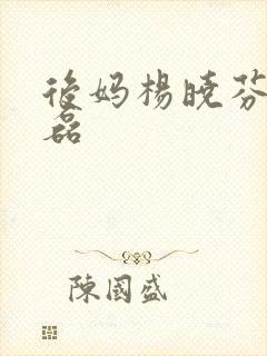 后妈杨晓芬与王磊
