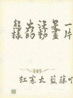 熊出没是一部怎样的动画片