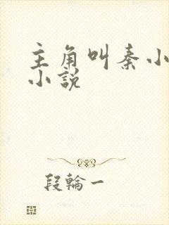 主角叫秦小飞的小说