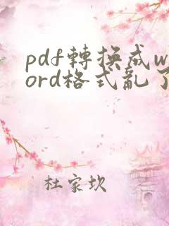 pdf转换成word格式乱了怎么调整