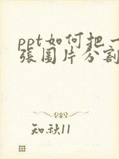 ppt如何把一张图片分割成几张