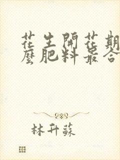 花生开花期上什么肥料最合适