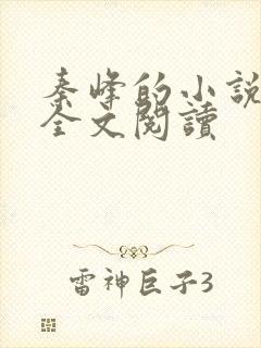 秦峰的小说免费全文阅读