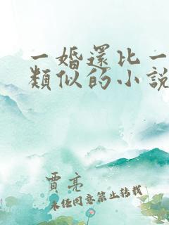 一婚还比一婚高类似的小说