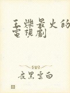 王烁最火的5部电视剧