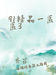 91精品一区二区3