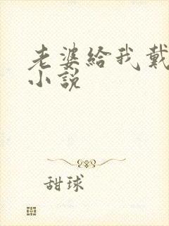 老婆给我戴绿帽小说
