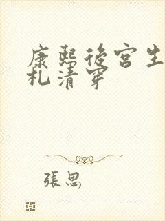 康熙后宫生存手札清穿
