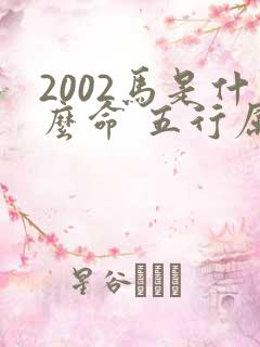 2002马是什么命 五行属什么
