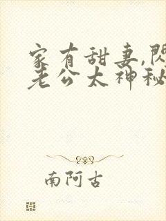 家有甜妻,闪婚老公太神秘