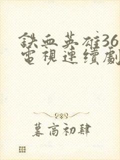 铁血英雄36集电视连续剧免费观看