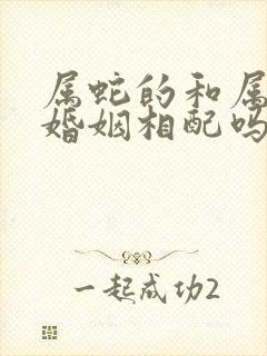 属蛇的和属龙的婚姻相配吗