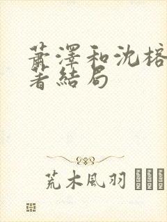 萧泽和沈榕宁原著结局
