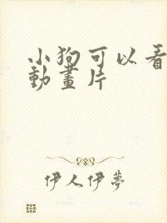小狗可以看懂的动画片