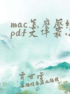 mac怎么压缩pdf文件最小