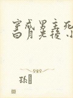 穿成男主死去的白月光后 小说