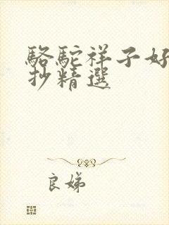 骆驼祥子好句摘抄精选