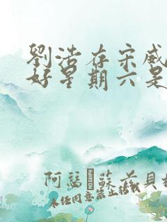 刘浩存宋威龙你好星期六是哪期