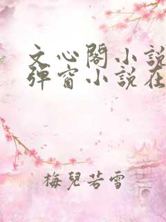 文心阁小说_无弹窗小说在线免费阅读