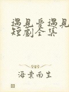 遇见爱遇见幸福短剧全集