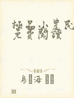 极品小农民全文免费阅读