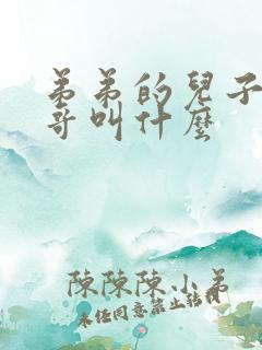弟弟的儿子叫哥哥叫什么
