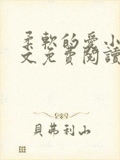 柔软的爱小说全文免费阅读