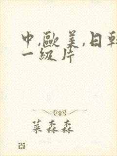 中,欧美,日韩一级片