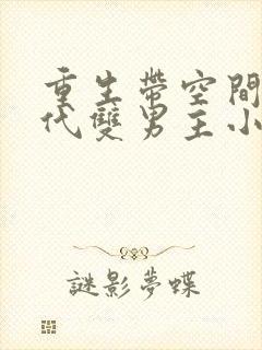 重生带空间的现代双男主小说