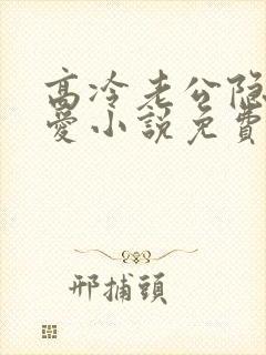 高冷老公隐婚蜜爱小说免费阅读