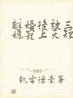 离婚后被三个儿媳宠上天短剧在线观看高清