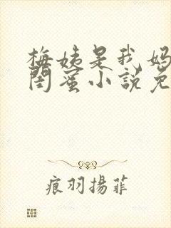 梅姨是我妈妈的闺蜜小说免费阅读