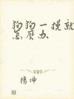 狗狗一摸就漏尿怎么办