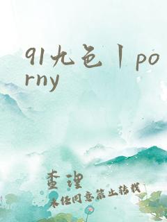 91九色丨porny