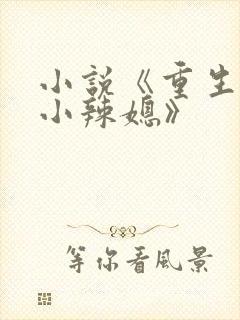 小说《重生七零小辣媳》
