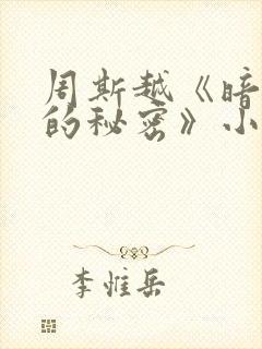 周斯越《暗格里的秘密》小说