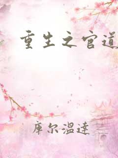 重生之官道吧