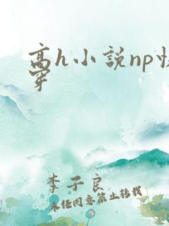 高h小说np快穿