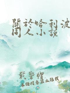 关于哈利波特的同人小说