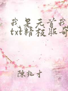 我是元首我怕谁txt精校版奇书网