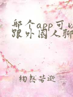 哪个app可以跟外国人聊天