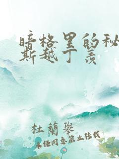 暗格里的秘密周斯越丁羡