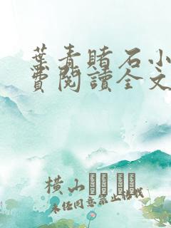 叶青赌石小说免费阅读全文