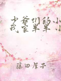 少爷们的小女仆我家半半 小说
