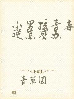 小男孩青春期叛逆怎么办